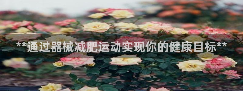 尊龙d88皆选ag发财网：**通过器械减肥运动实现你