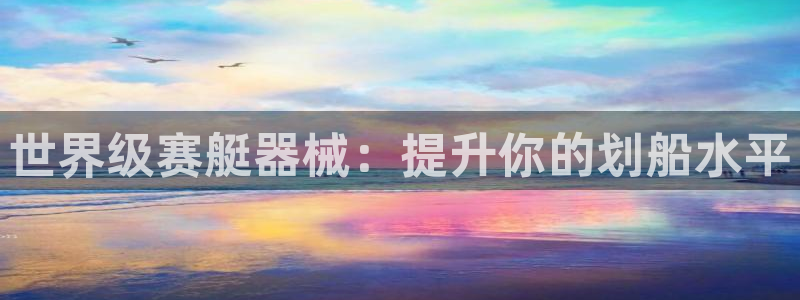 尊龙专访：世界级赛艇器械：提升你的划船水平