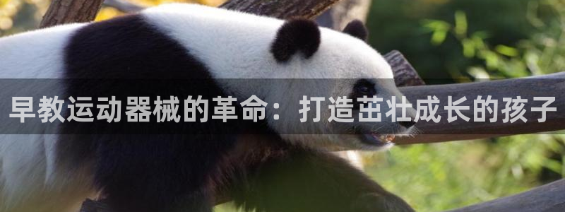尊龙凯时存款不上分：早教运动器械的革命：打造茁壮成长