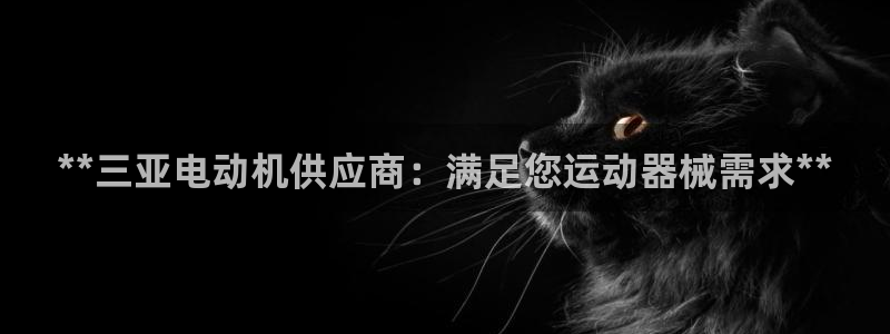 尊龙凯时俱乐部：**三亚电动机供应商：满足您运动器械
