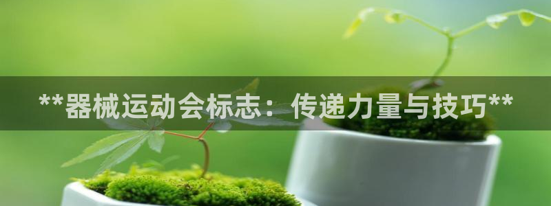 尊龙凯时出款：**器械运动会标志：传递力量与技巧**