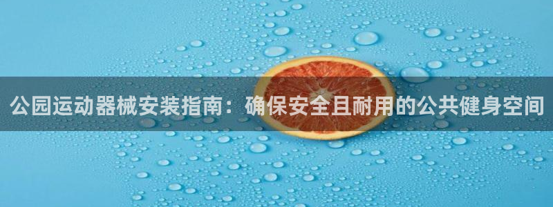 尊龙凯时几百万怎么下：公园运动器械安装指南：确保安全