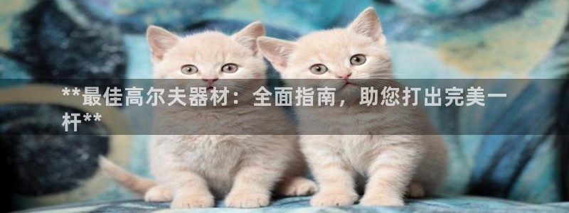 z6尊龙平台是哪里的：**最佳高尔夫器材：全面指南，