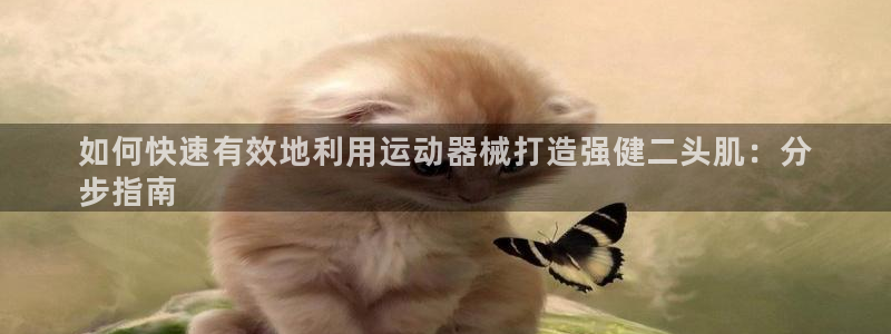 尊龙官网入口：如何快速有效地利用运动器械打造强健二头