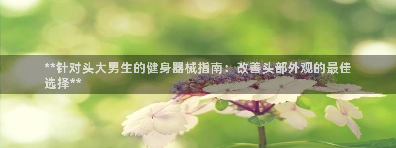 尊龙官网网站：**针对头大男生的健身器械指南：改善头
