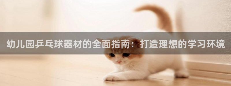 尊龙人生手机版都去ag发财网：幼儿园乒乓球器材的全面