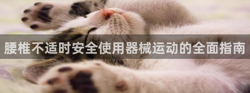 尊龙凯时：腰椎不适时安全使用器械运动的全面指南