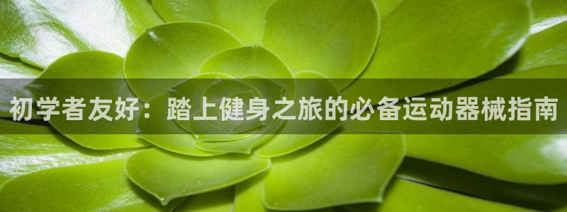 凯时官网的售后服务：初学者友好：踏上健身之旅的必备运