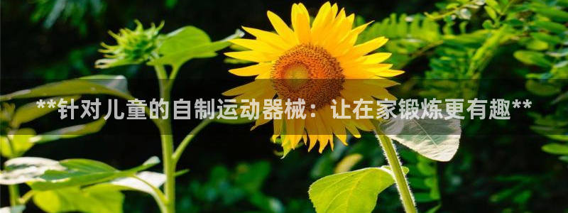 尊龙凯时是赌博嘛：**针对儿童的自制运动器械：让在家