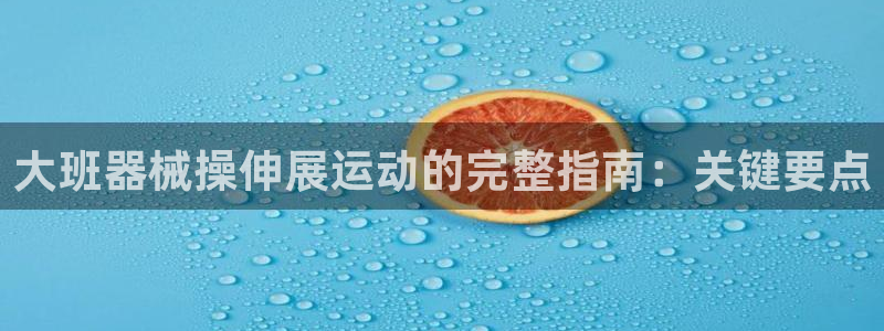 尊龙网站注册站注册：大班器械操伸展运动的完整指南：关