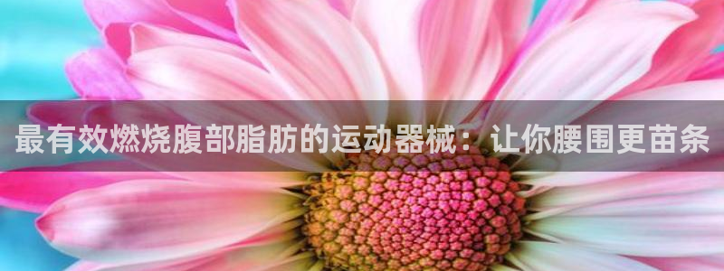 尊龙—人生就是博：最有效燃烧腹部脂肪的运动器械：让你