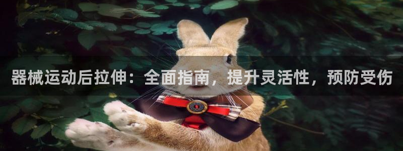 尊龙凯时网站赌愽是真的吗：器械运动后拉伸：全面指南，