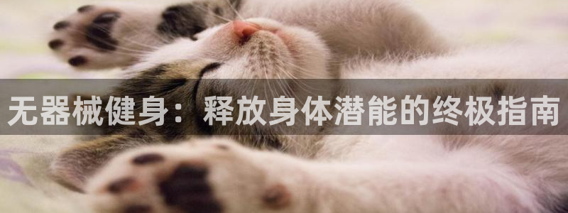 尊龙一人生就是博电子游戏：无器械健身：释放身体潜能的
