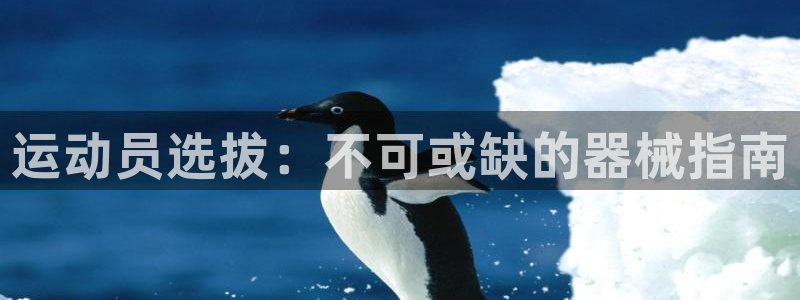 尊龙AG旗舰店：运动员选拔：不可或缺的器械指南