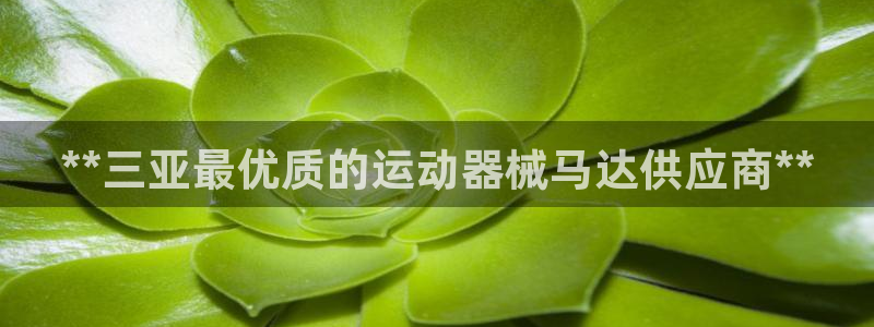 d88尊龙z6：**三亚最优质的运动器械马达供应商*