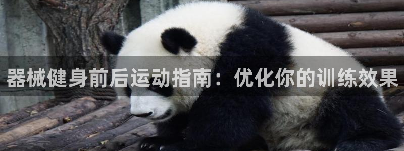 尊龙z6官网：器械健身前后运动指南：优化你的训练效果