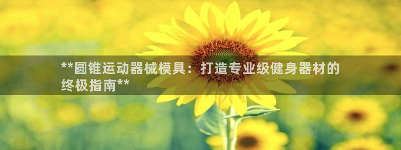 尊龙凯时-人生就是博中国官网首页：**圆锥运动器械模