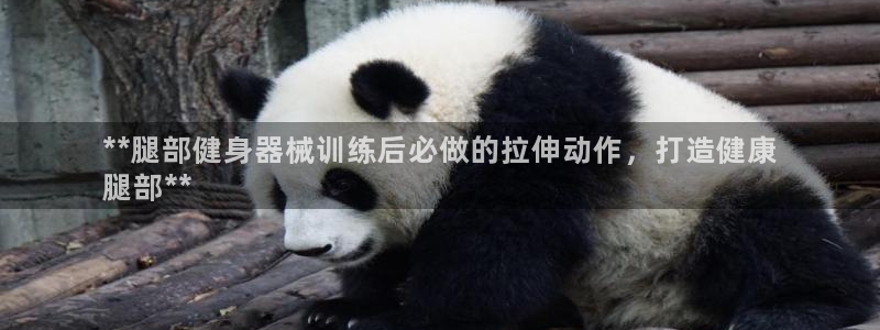 z6尊龙官网平台下载：**腿部健身器械训练后必做的拉