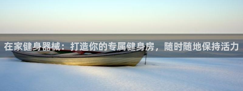 尊龙t600怎么样：在家健身器械：打造你的专属健身房