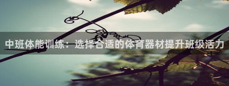 尊龙凯时有限公司
