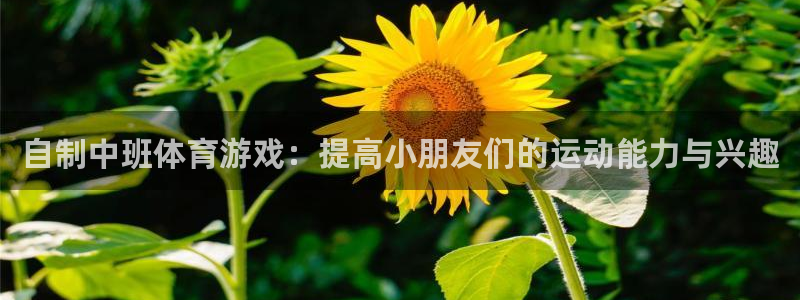 KB88凯时官网登录