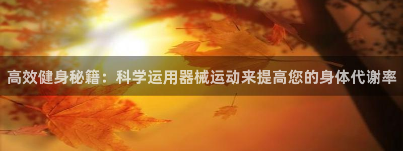 尊龙凯时登陆网址