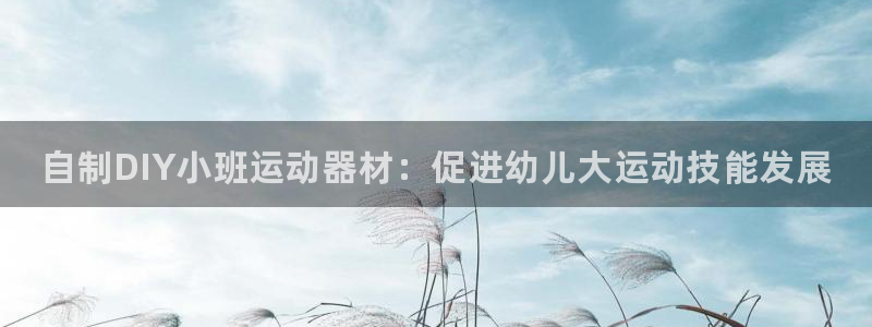 ZL尊龙凯时集团：自制DIY小班运动器材：促进幼儿大