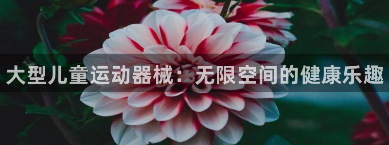 尊龙网址登录官网