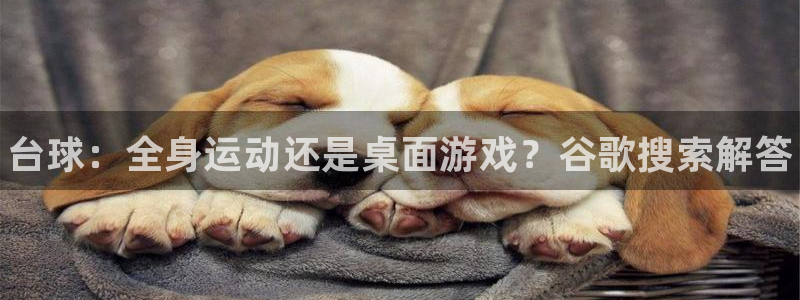 z6com尊龙凯时代理：台球：全身运动还是桌面游戏？谷歌搜索