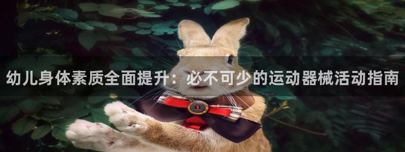 ag尊龙凯时官网：幼儿身体素质全面提升：必不可少的运动器械活