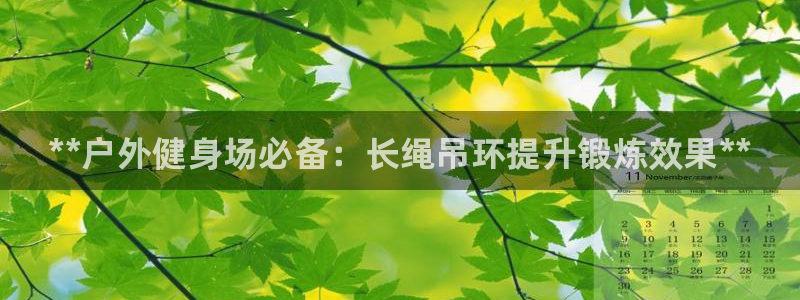 尊龙d88现金 旧版本可靠送38元：**户外健身场必备：长绳