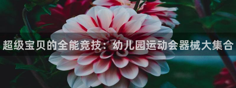 尊龙客服：超级宝贝的全能竞技：幼儿园运动会器械大集合