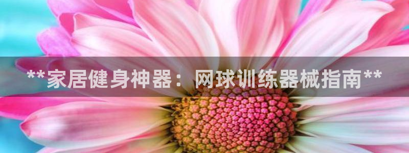 尊龙AG旗舰厅官网