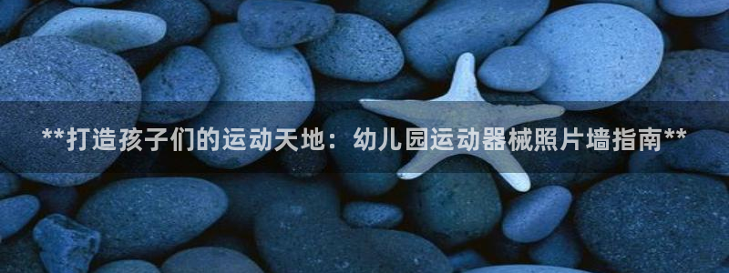 尊龙专访视频：**打造孩子们的运动天地：幼儿园运动器械照片墙