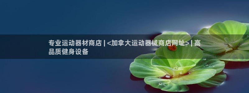 尊龙凯时赢不了：专业运动器材商店 | <加拿大运动器