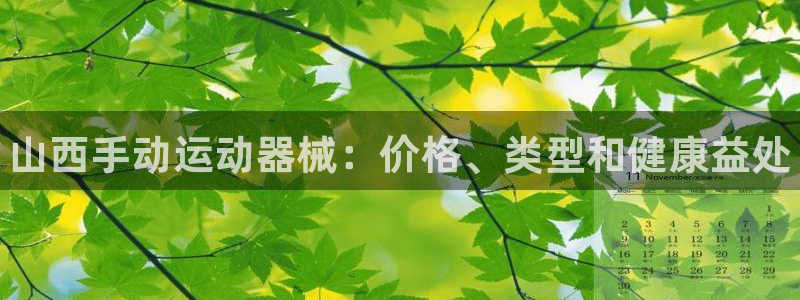 z6尊龙平台是哪里的:山西手动运动器械:价格、类型和健康益处
