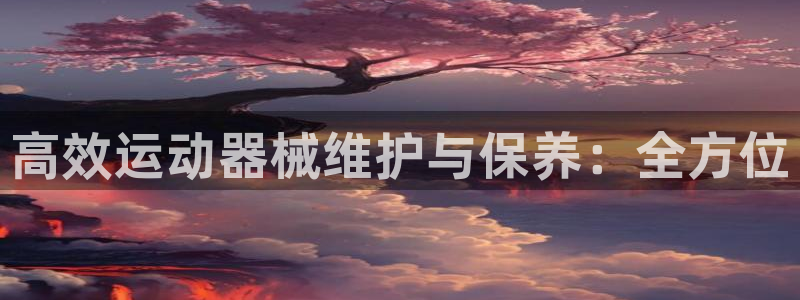 尊龙凯时取款一直支付中：高效运动器械维护与保养：全方